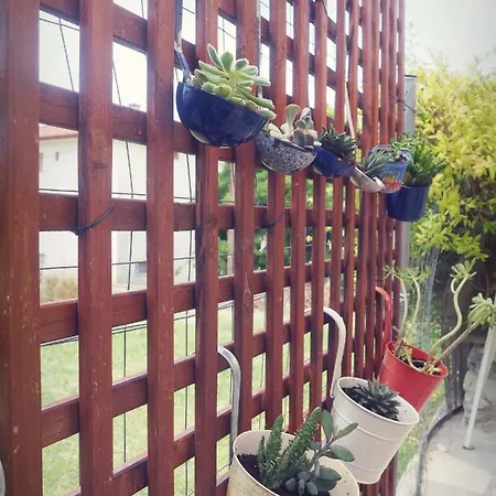 بيت للعطل House