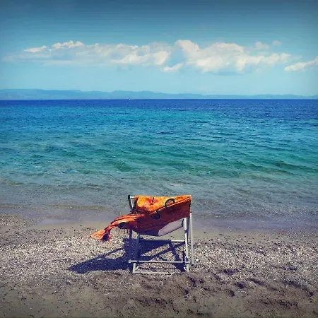 بيت للعطل House *