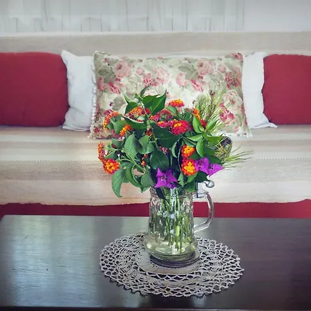 House بيت للعطل